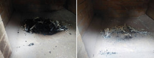 pet-cremation-in-incinerator-chamber