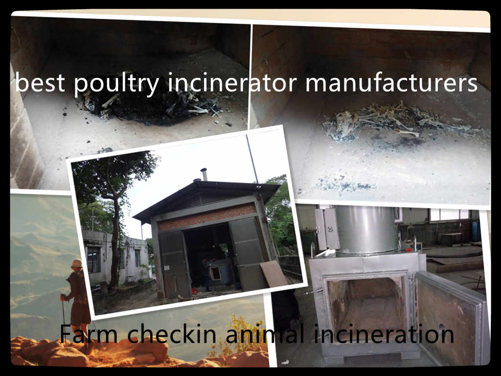 best poultry incinerator manufacturers