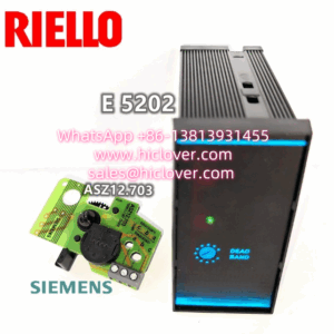 RIELLO Servo Motor Position Control Unit E5202